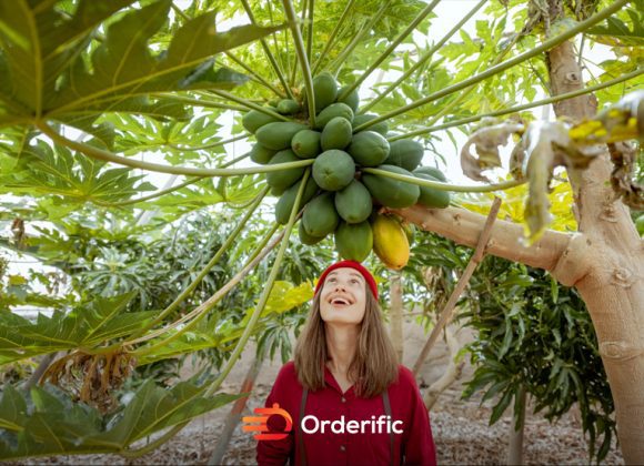 Green Papaya 101: All You Need to Know Green Papay_OR-Web-83