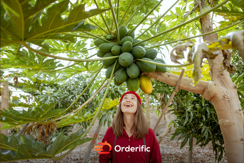 Green Papay_OR-Web-83