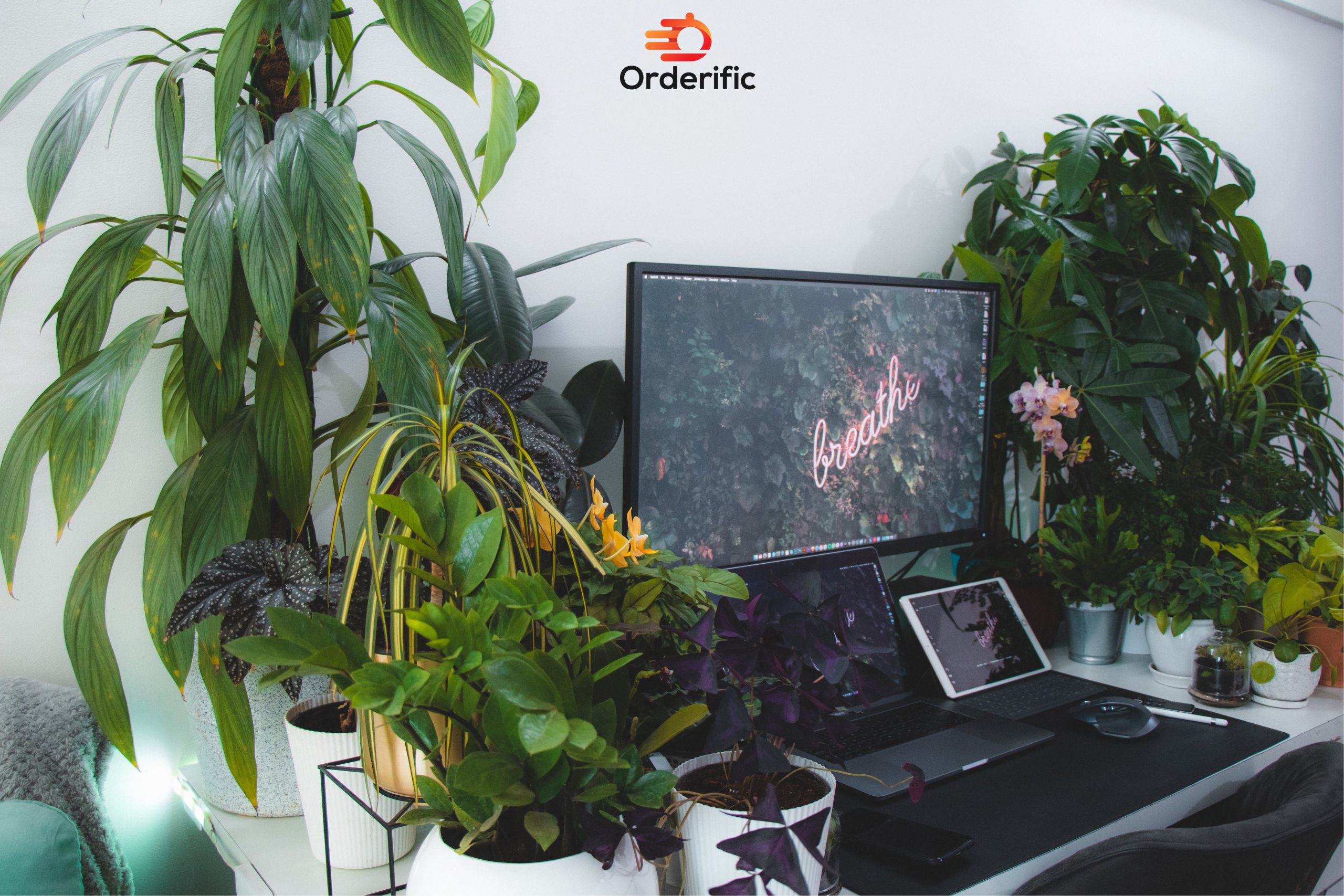 Guided access on iPad