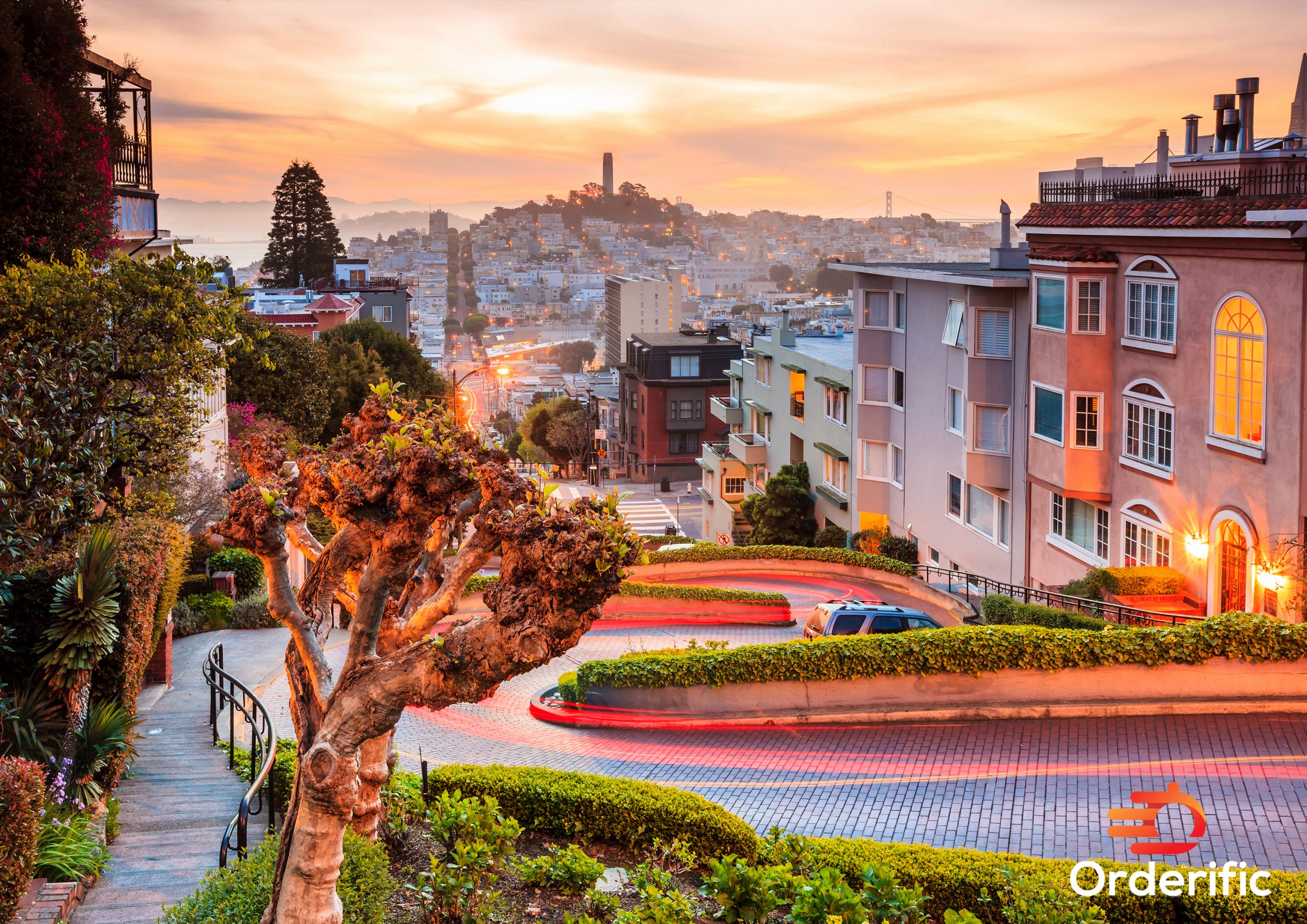 Foreign Cinema: Where Culinary Art Meets Silver Screen in San Francisco foreign cinema