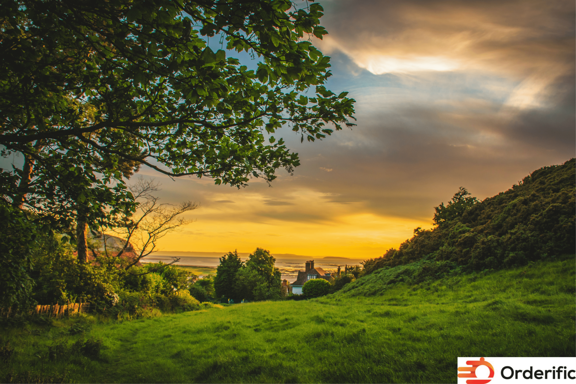 Untitled design - 2023-09-23T173258.561 (1) (1) (1)