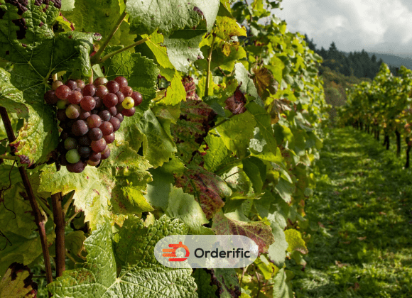 America's Winery Cities