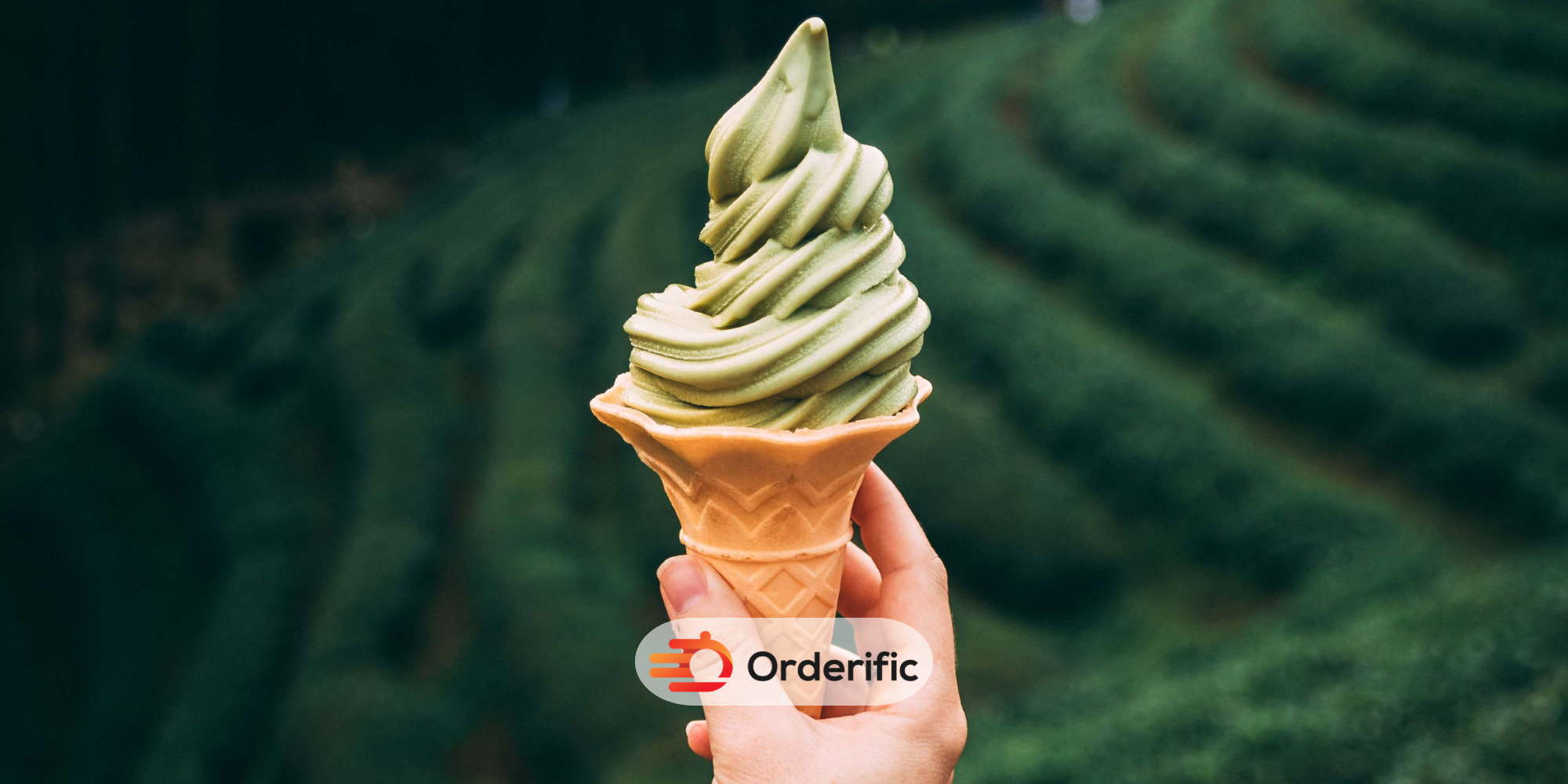 How To Make An Ice Cream Shop Logo Ice cream shop logo