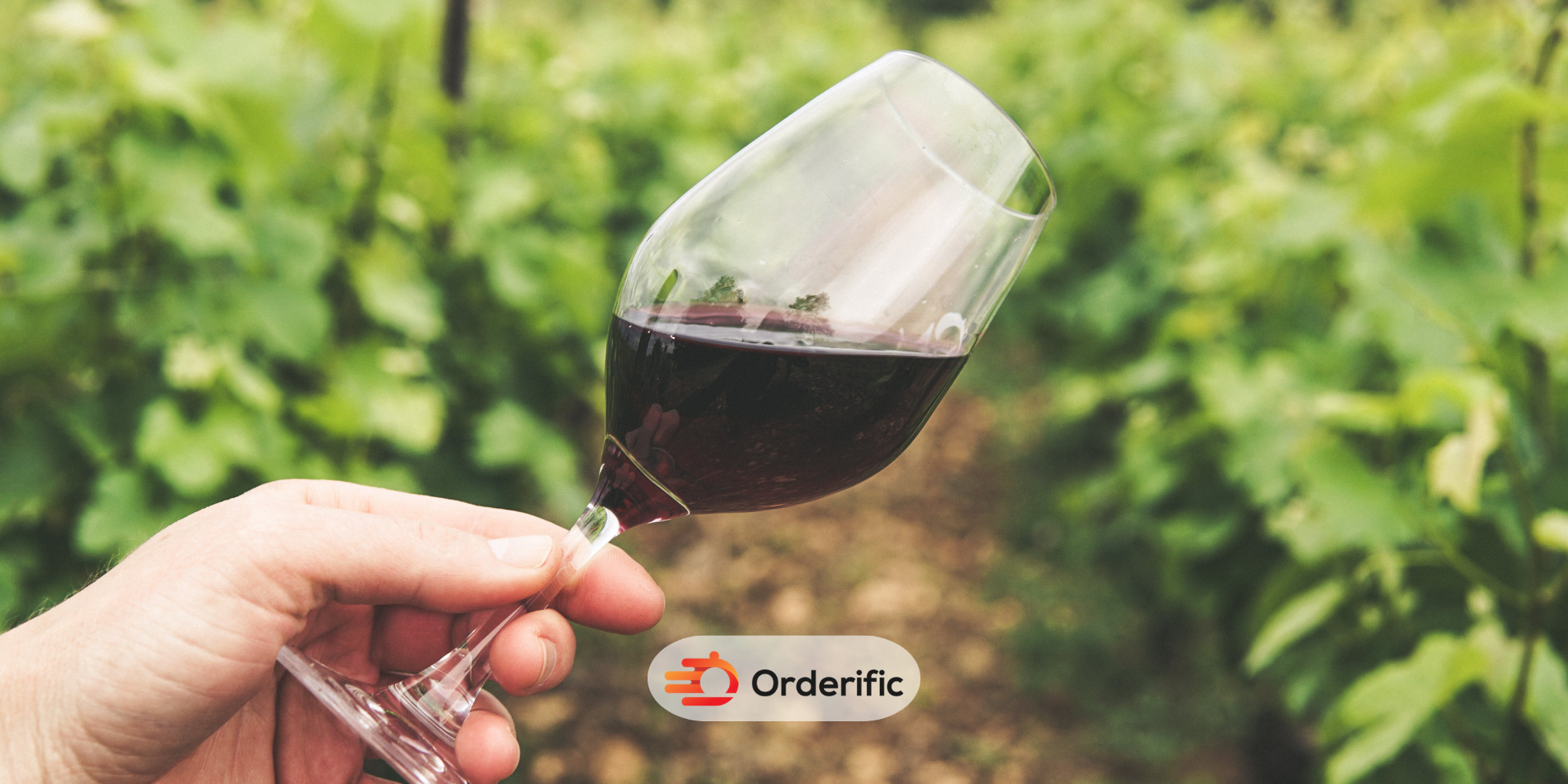 sommelier training cover